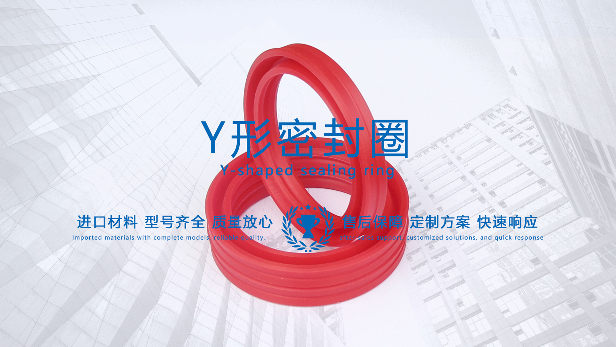 y型密封圈（又Y形密封圈，Y形圈，Y型圖或唇形密封圈，密封件油封膜片） (3)